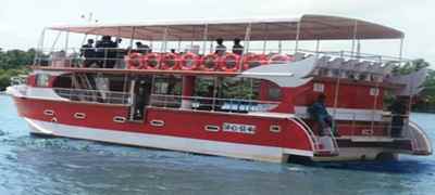 dolphin tour boat wildlife